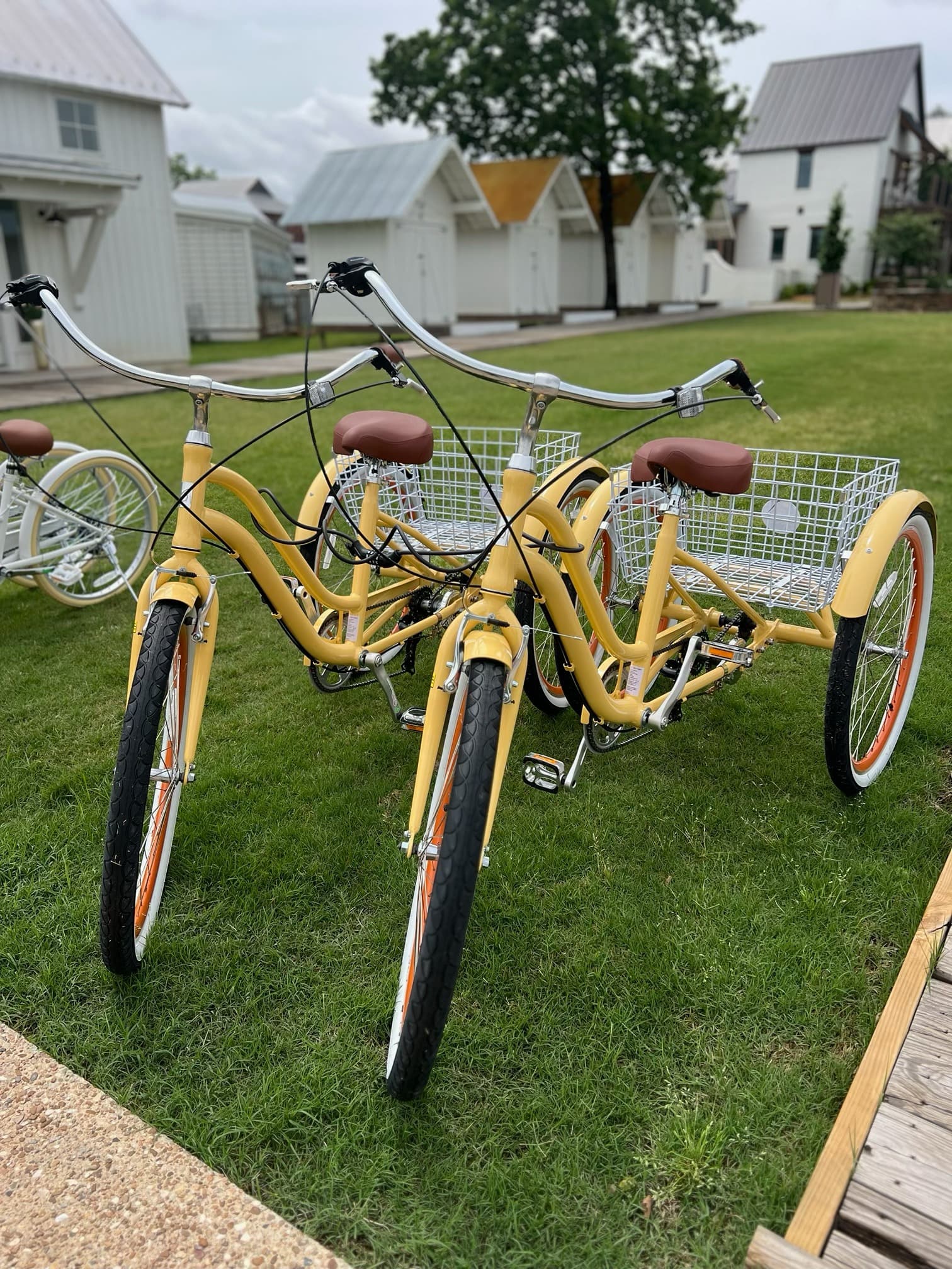 A Leap of Faith on Two Wheels: